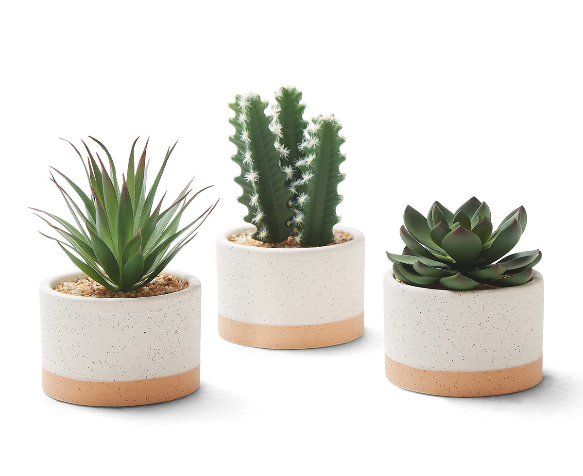 Artificial Succulent in Ceramic Pots 2 Packs Fake Plants - ASTRIDIA Official Imagery - 8