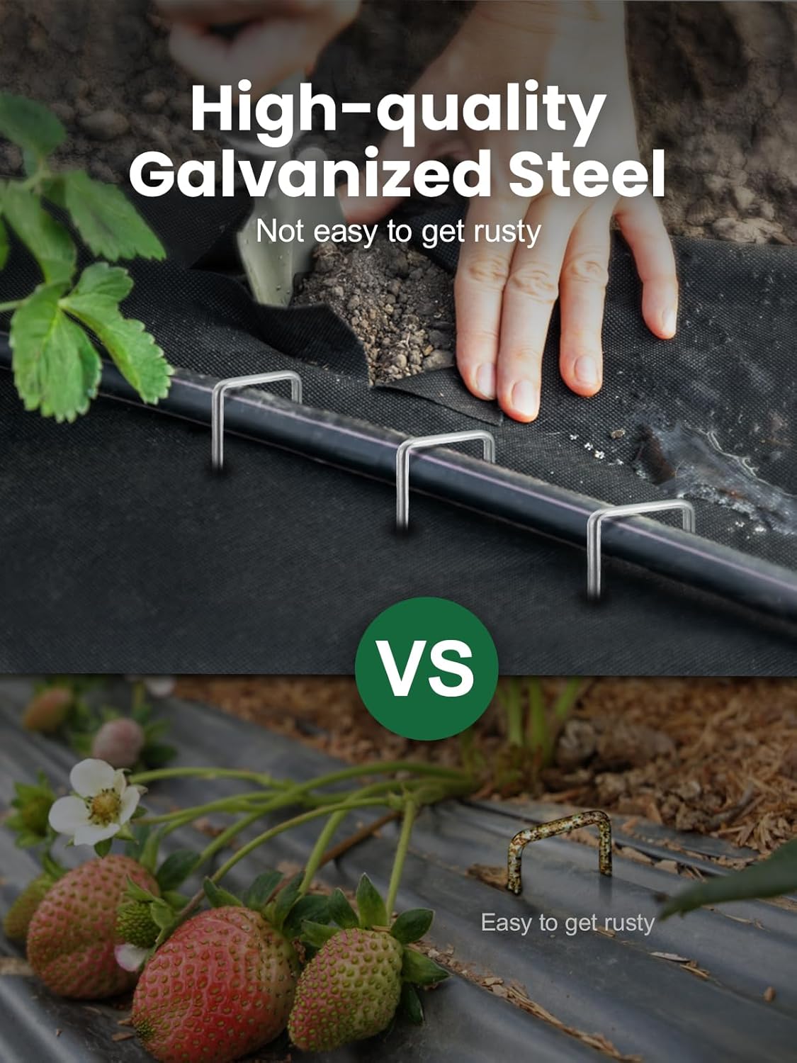 GROWNEER 6-inch 11-gauge heavy-duty galvanized landscape staples in a pack of 100, ideal for outdoor yard and garden projects.