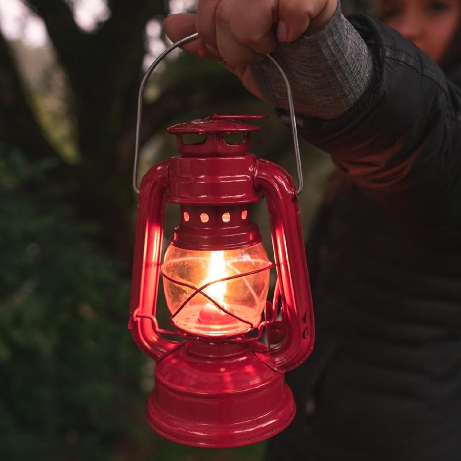 Stansport hurricane lantern with metal body, glass chimney, and kerosene oil wick for outdoor lighting and camping use.