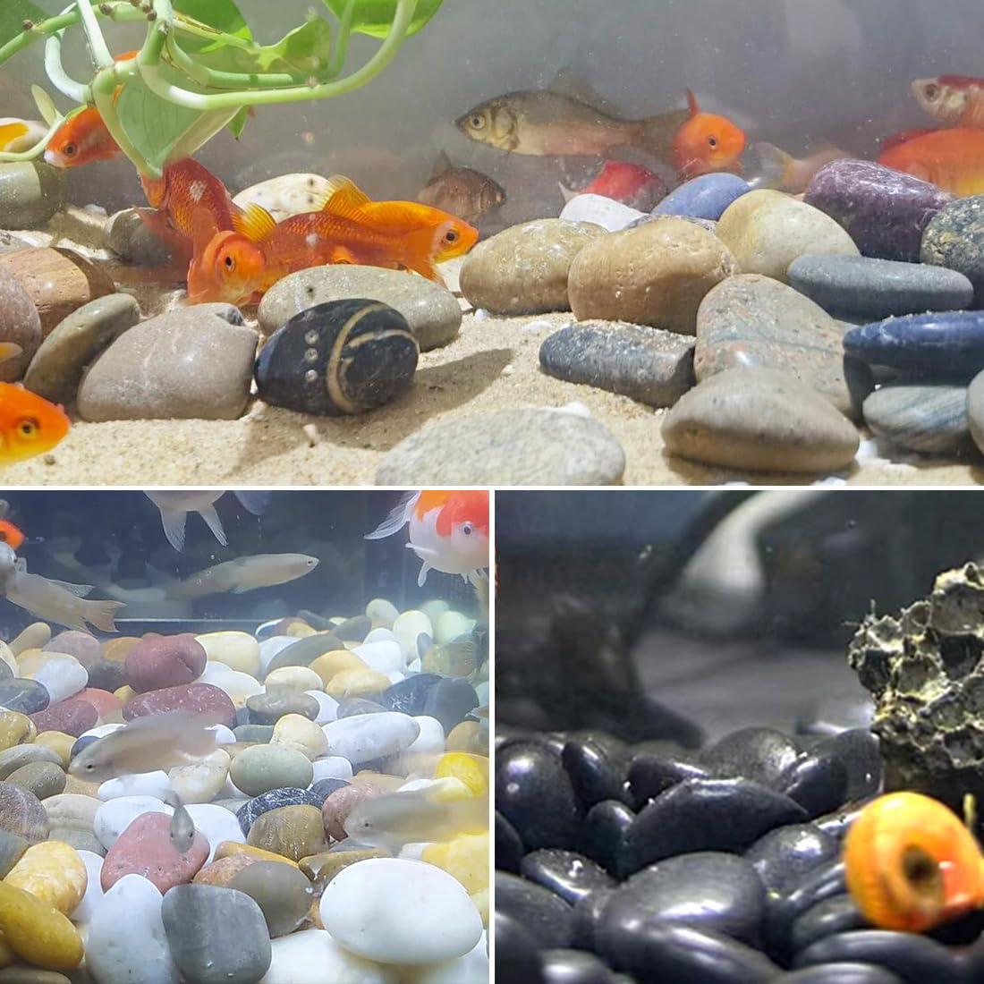 20lbs Large River Rocks for Landscaping 3 4 Mixed Color - YISZM Official Imagery - 7