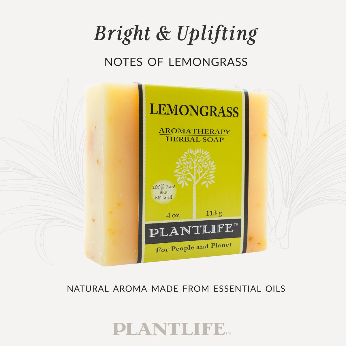 Plantlife Lemongrass Natural Bar Soap 6 Pack Handcrafted - Plantlife Official Imagery - 5