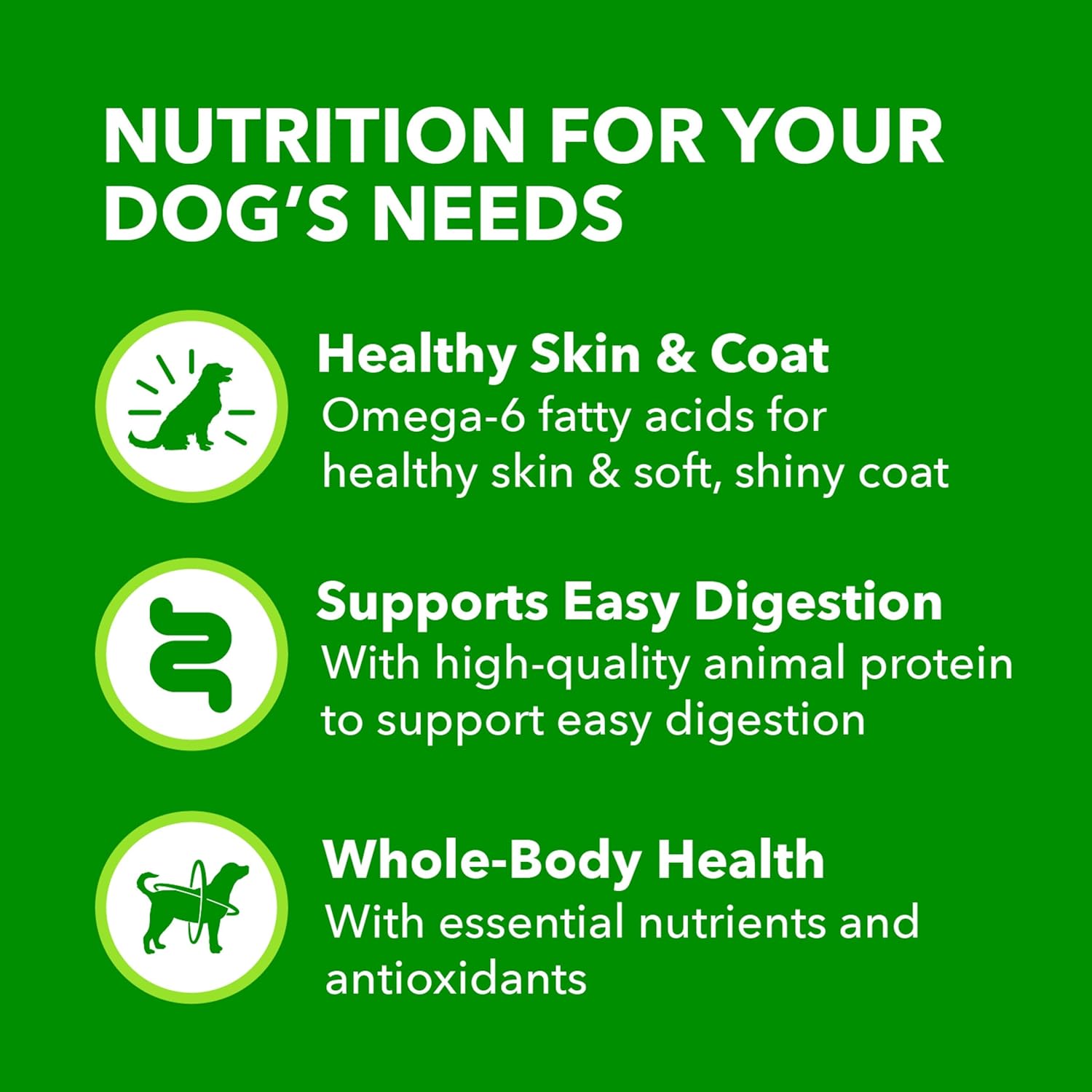 IAMS Proactive Health senior wet dog food in classic ground form, showing a bowl of moist dog food for older dogs