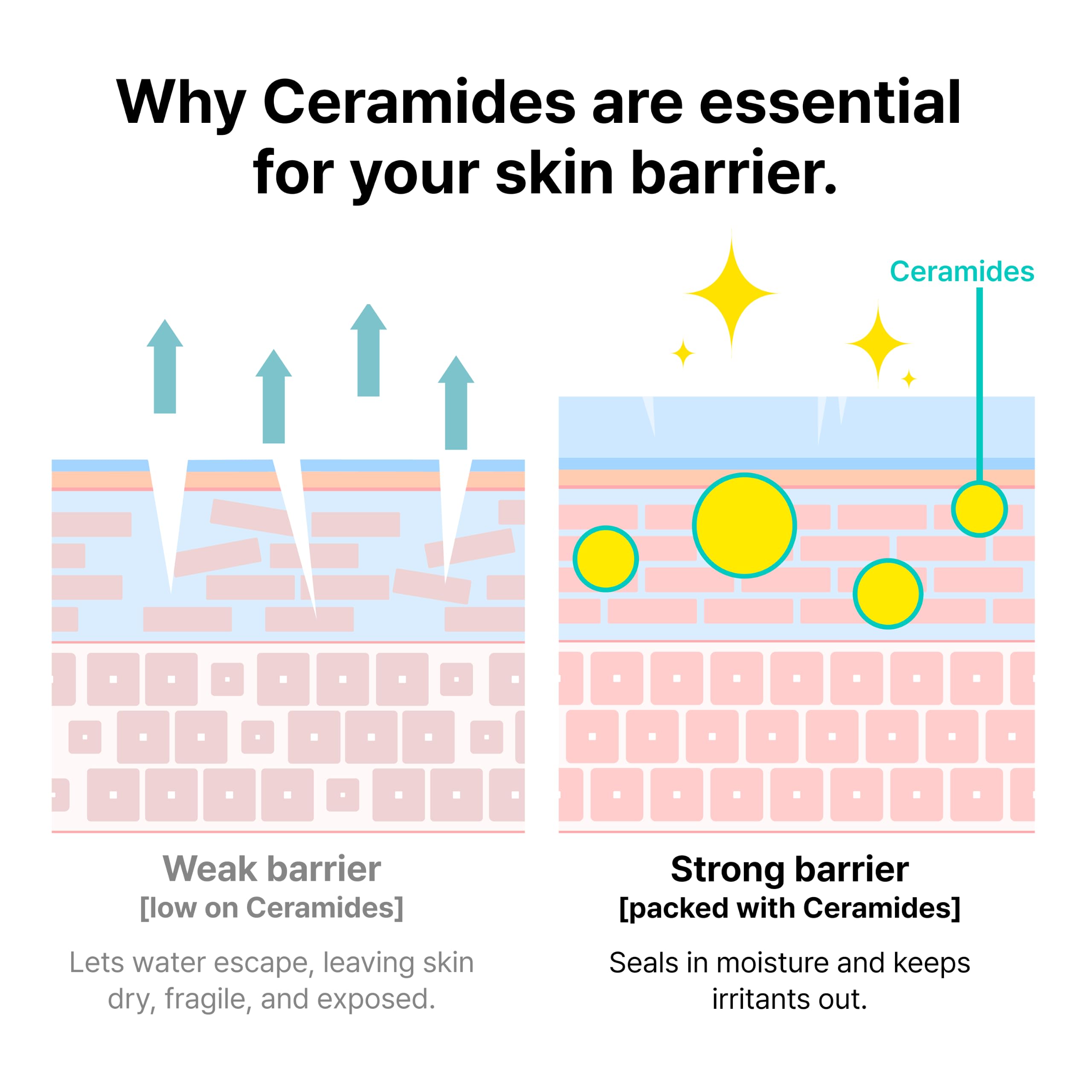 Elefair Tech Dr.Jart+ Ceramidin Skin Barrier Korean Face Cream Moisturizer with - Elefair Tech Official Product View 7