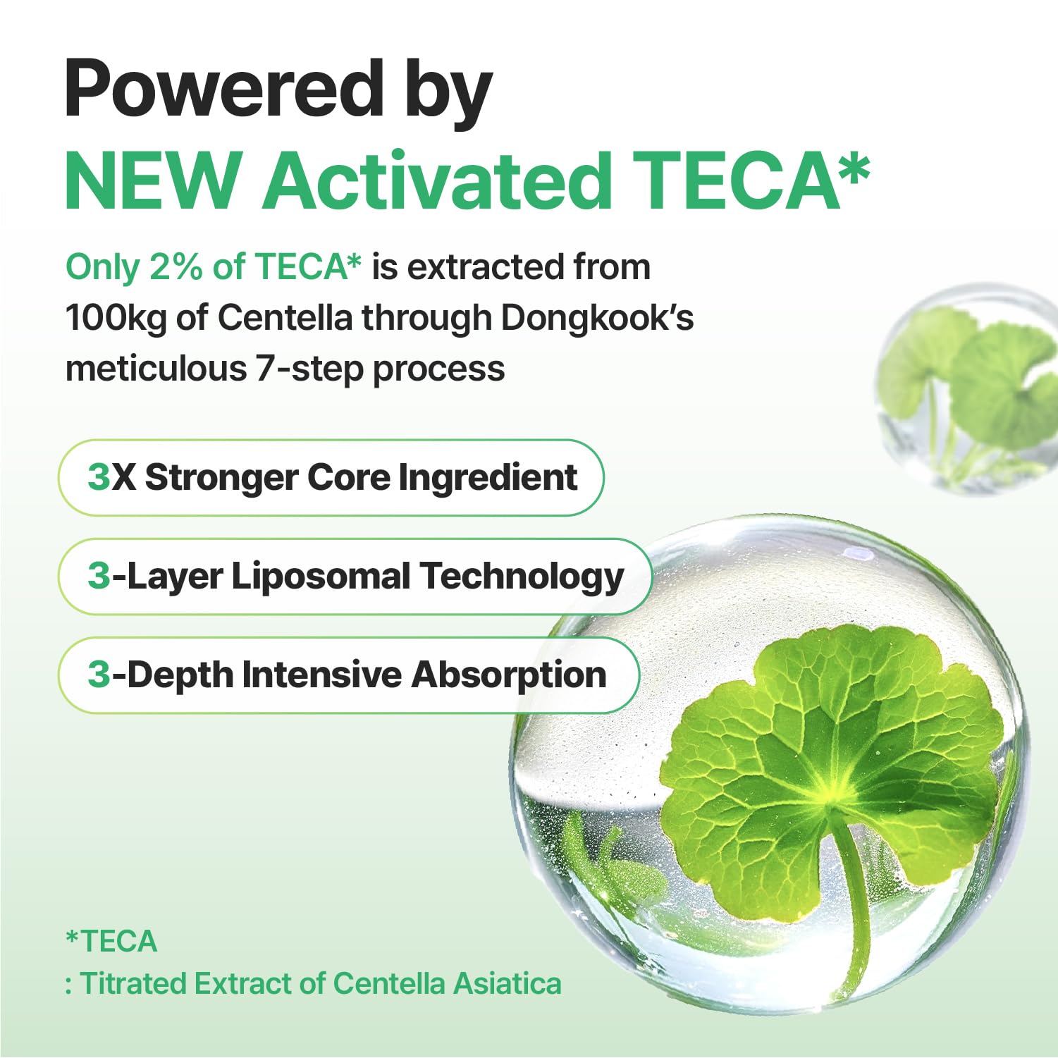 CENTELLIAN 24 Madeca Cream Time Reverse, TECA Moisturizer (2-Pack) - CENTELLIAN 24 Official Product View 7