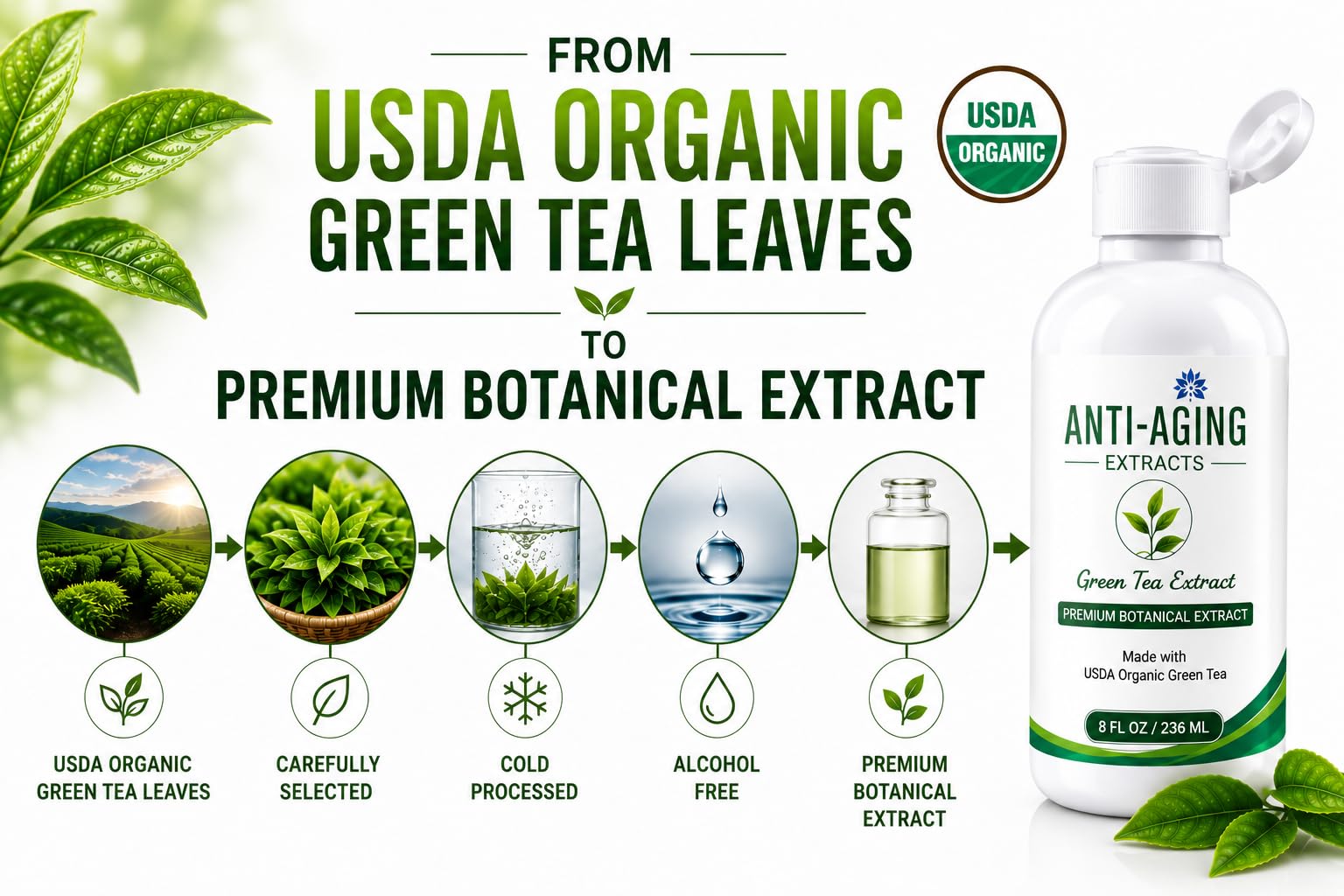 St. Croix Products Pure Green Tea Extract for Skin and Hair – Cold - Processed - St. Croix Products Official Product View 4