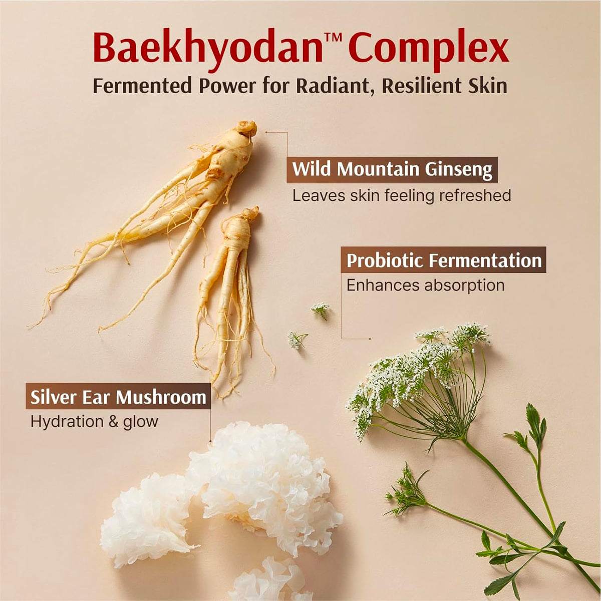 Sooryehan Hyobidam Fermented Bundle Gift Set - Sooryehan Official Imagery - 5