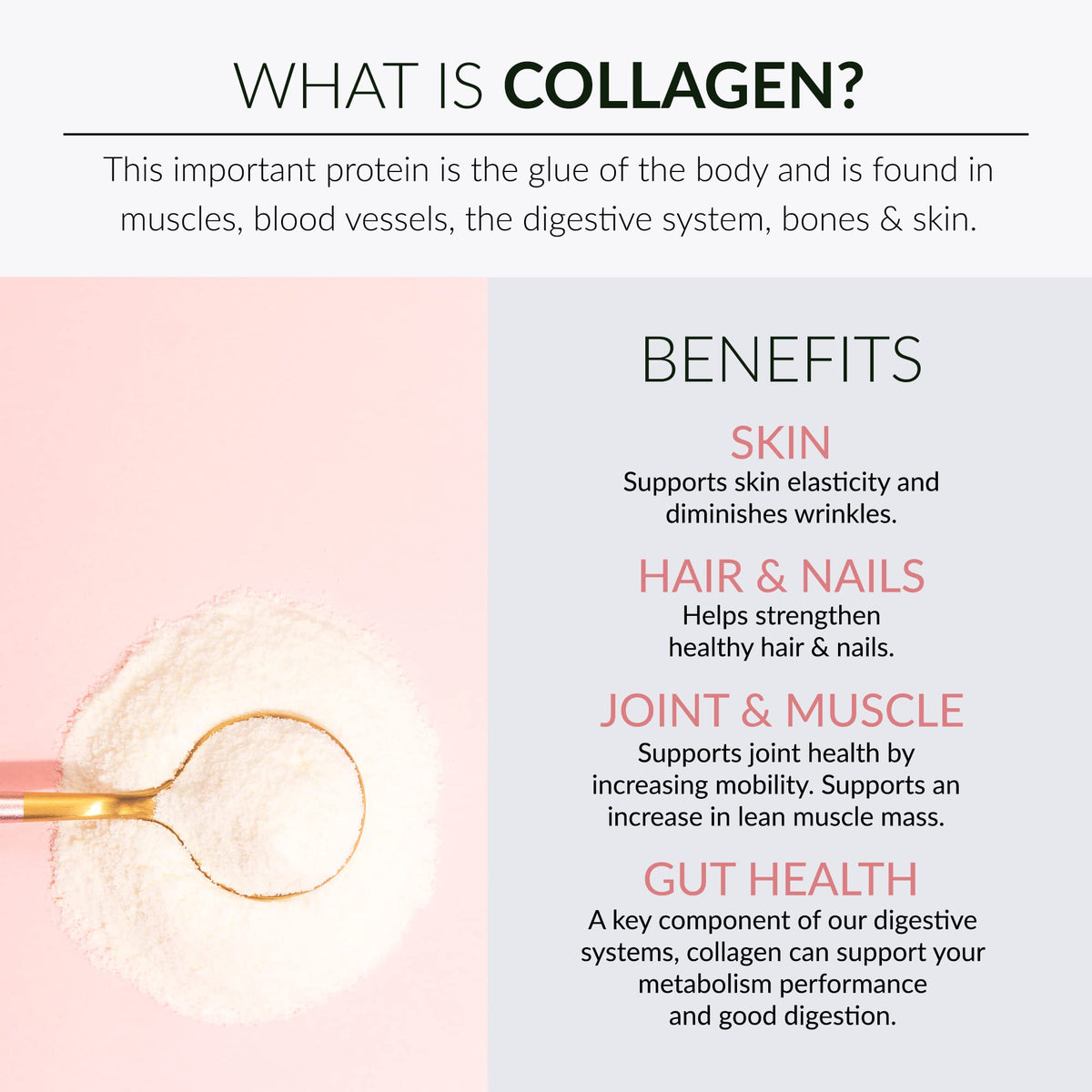 Alaya Multi Collagen Powder - Alaya Naturals Official Imagery - 6