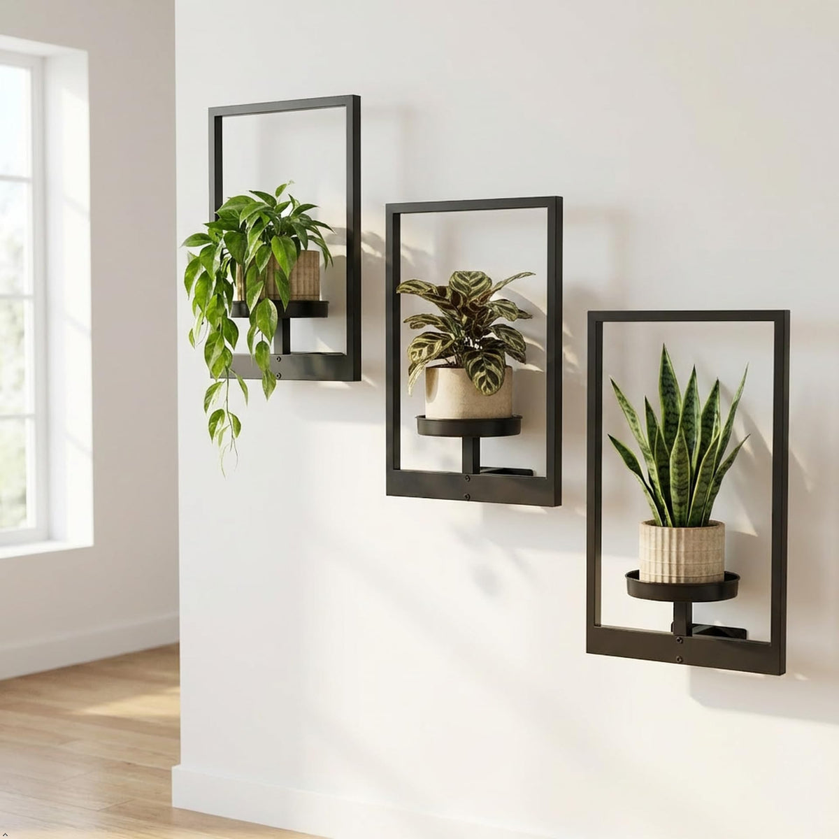Picture Frame Wall Planters Set of 3 Modern Metal Hanging - bbteroiu Official Imagery - 8