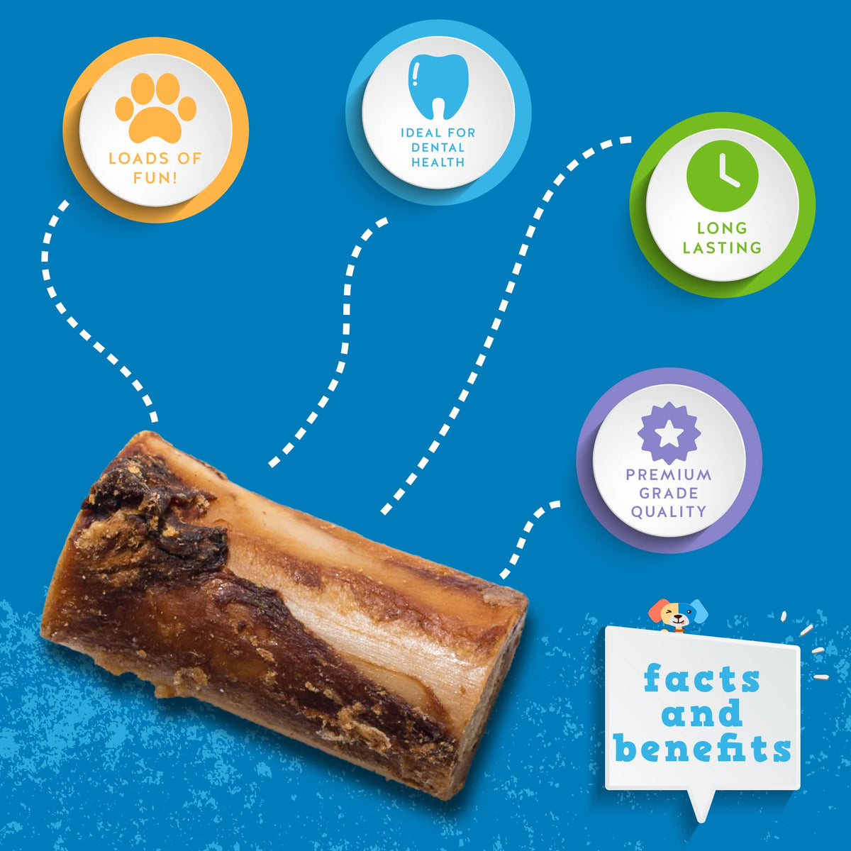 Jack Pup Marrow Bones for Large Dogs 6 Inch Natural Beef - Jack&Pup Official Imagery - 4