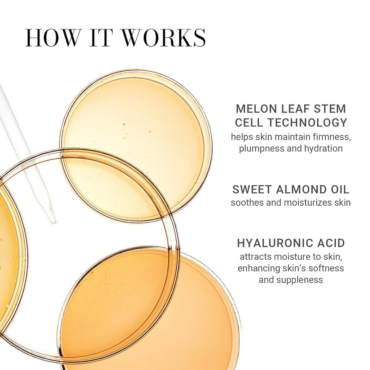 Meaningful Beauty Firming and Tightening Body Hydration - Premium Selection Official Imagery - 6