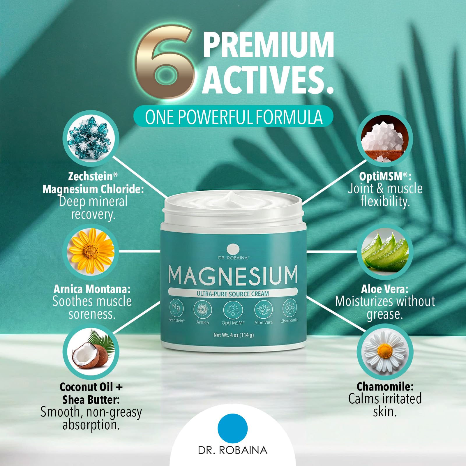 Dr. Robaina Magnesium Cream – Zechstein Magnesium Chloride with Arnica & OptiMSM for Post-Workout Muscle Comfort & Daily Wellness, 4 oz
