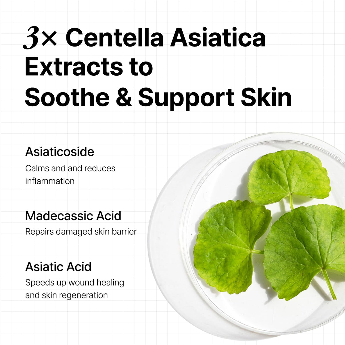 Vita 3 Serum Pudding Cream Set - OOZNARY Official Imagery - 4