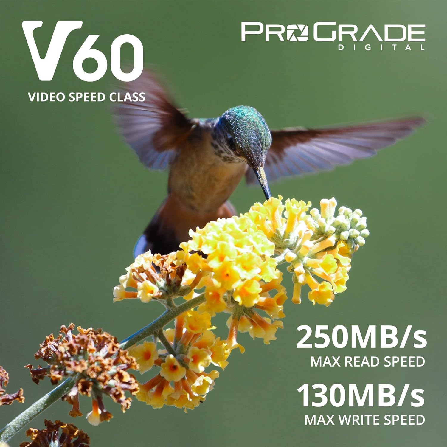 ProGrade Digital SD UHS-II 128GB V60 memory card with up to 130MB/s write speed and 250MB/s read speed, shown in the image.