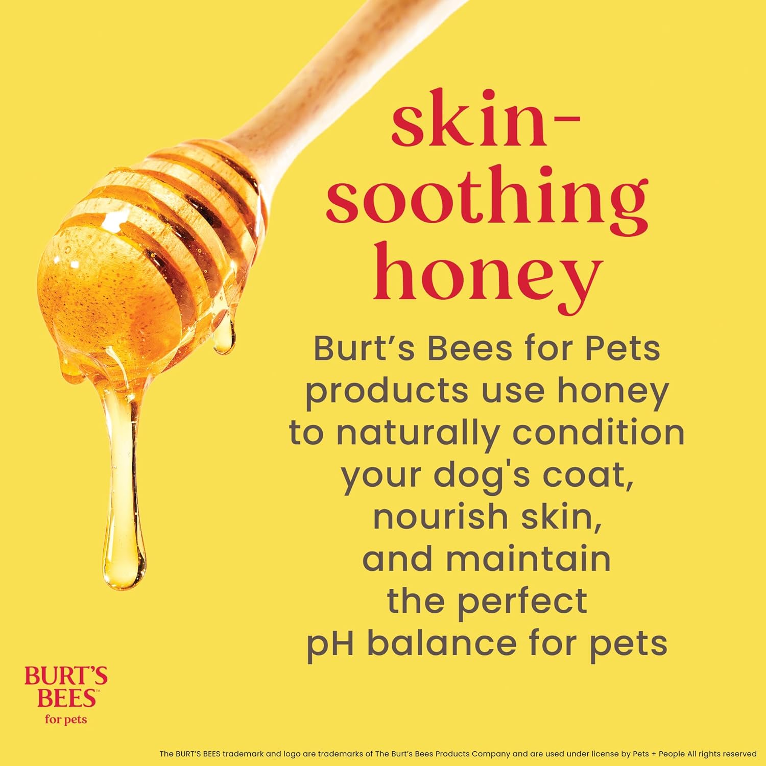 Burt's Bees for Pets honey multipurpose dog grooming wipes with gentle, hypoallergenic formula and natural ingredients.