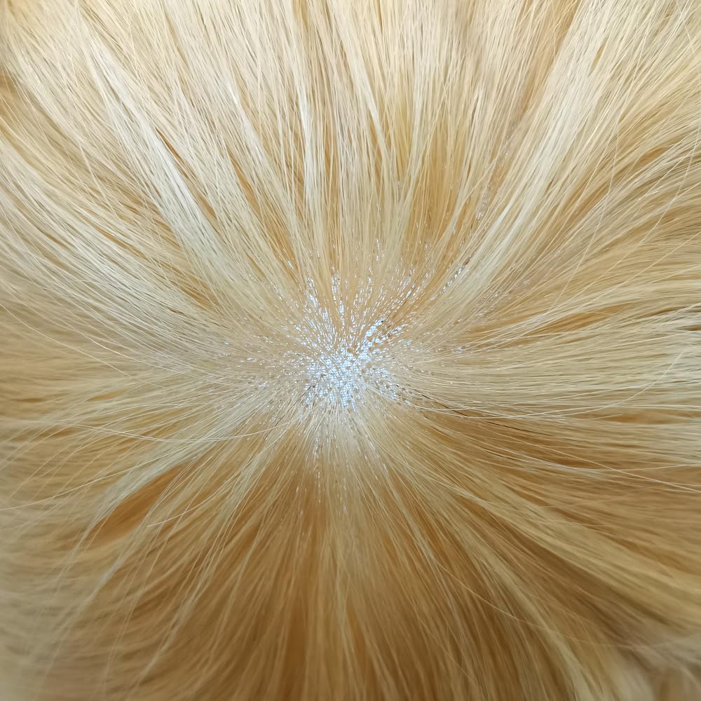 Curve Hair Mens Toupee Human Hair Piece Replacement System Monofilament Wig Hair Unit for Men Durable Poly Coated Mens Hairpiece (#60RY All Gray, 7"X9")