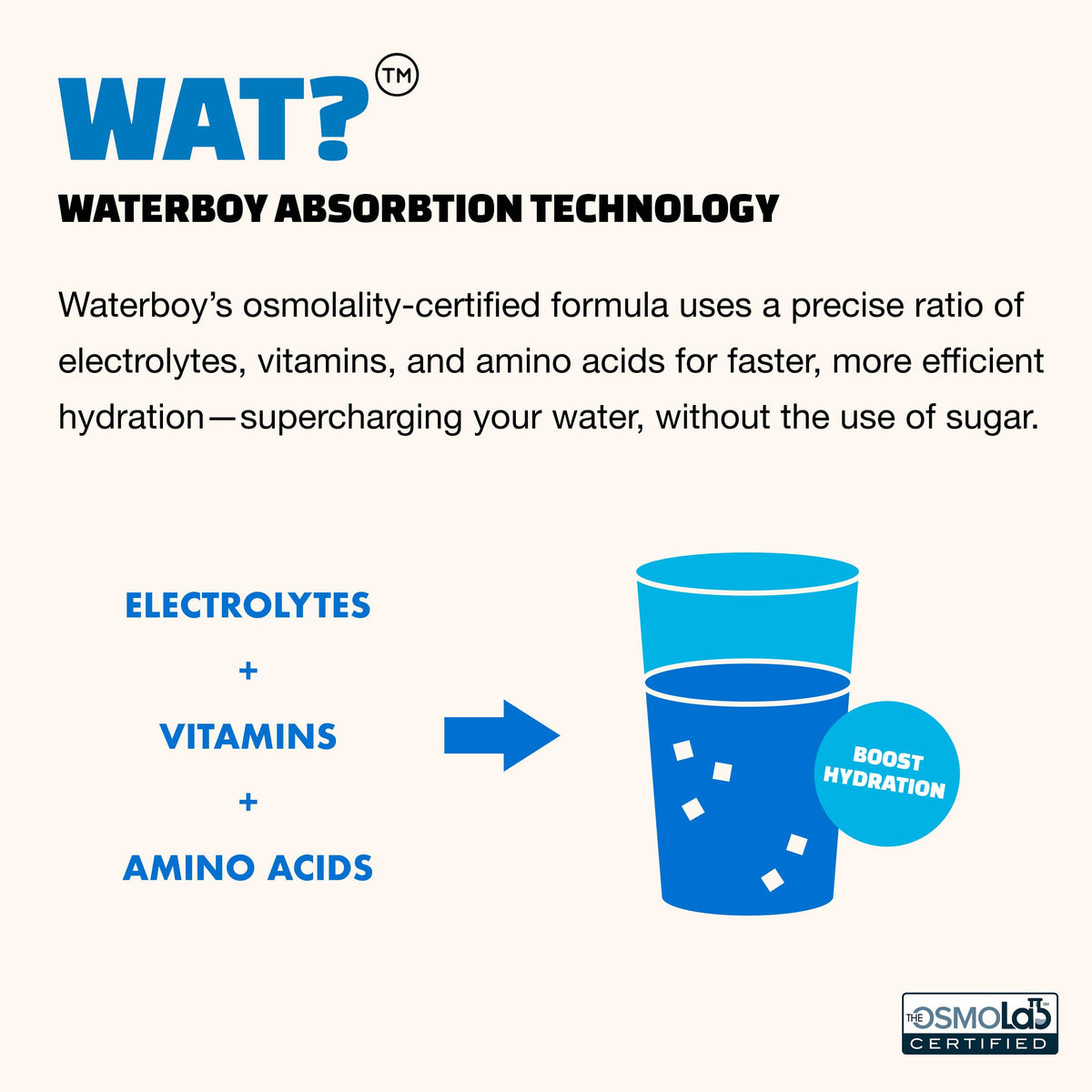 WaterBoy Daily Hydration Strawberry Lemonade Sugar Free - Waterboy Official Imagery - 7