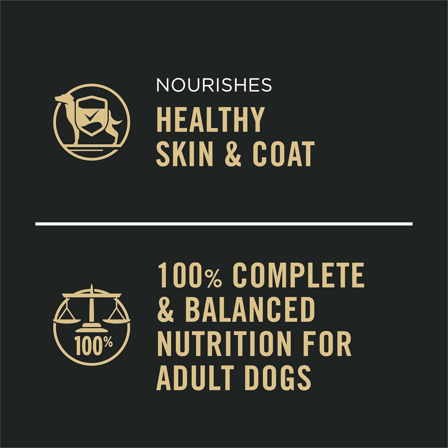Purina Pro Plan Complete Essentials Classic Pate Dog Food, Chicken and Rice