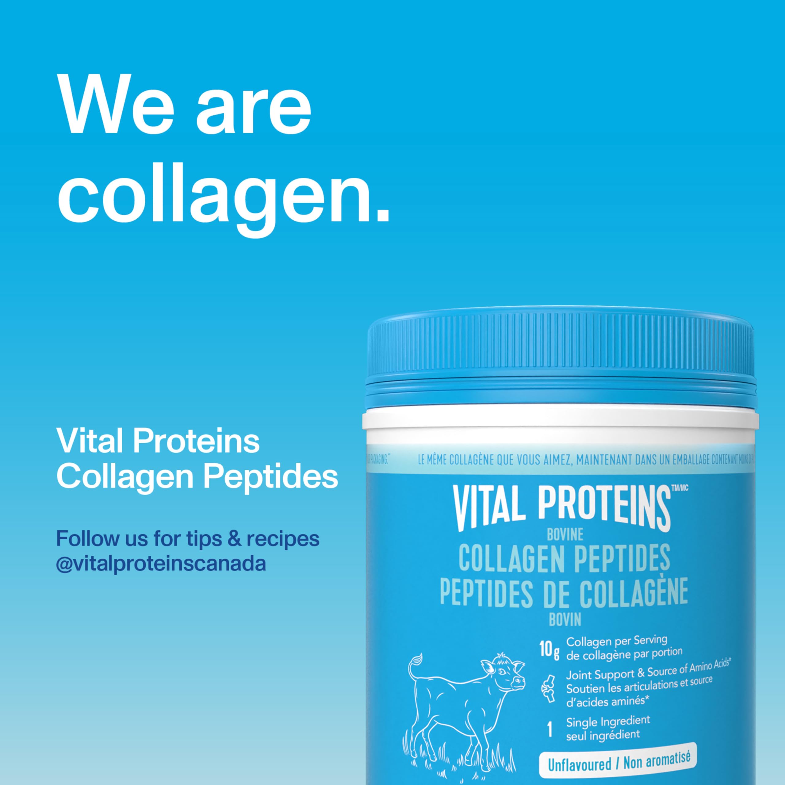 Vital Proteins Unflavoured Collagen Peptides 567 GR - Vital Proteins Official Imagery - 6