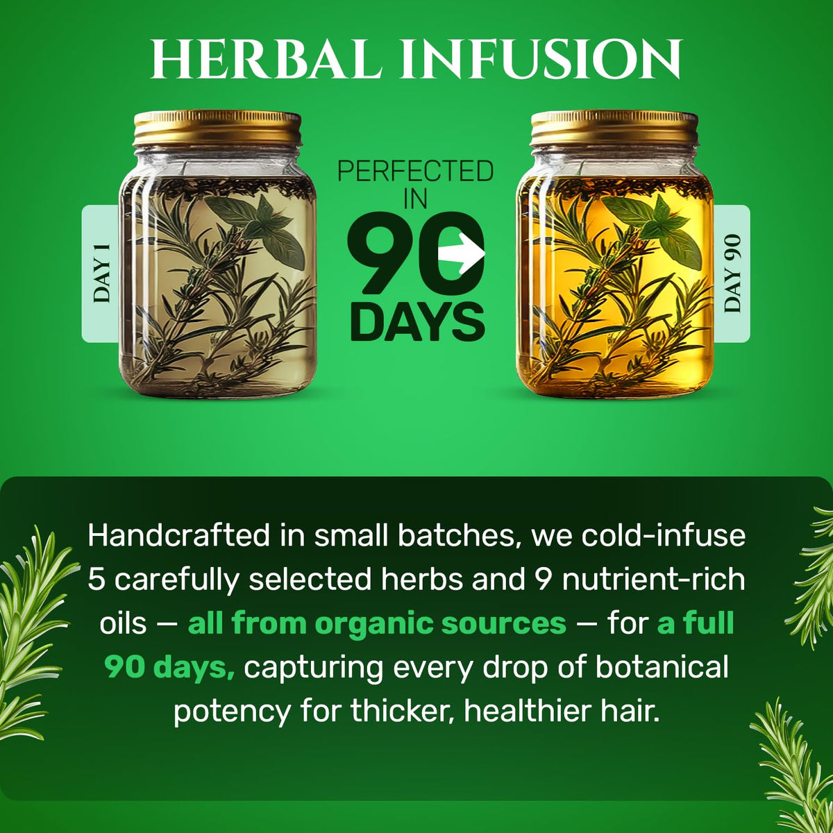 BetterGRO Organic Hair Growth Oil Herbal Natural Blend with - BetterGRO Official Imagery - 4
