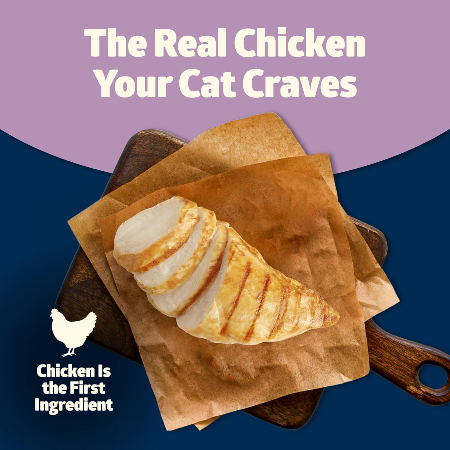 Blue Buffalo Freedom grain-free kitten wet cat food in a can, showcasing the complete and balanced nutrition for young cats.