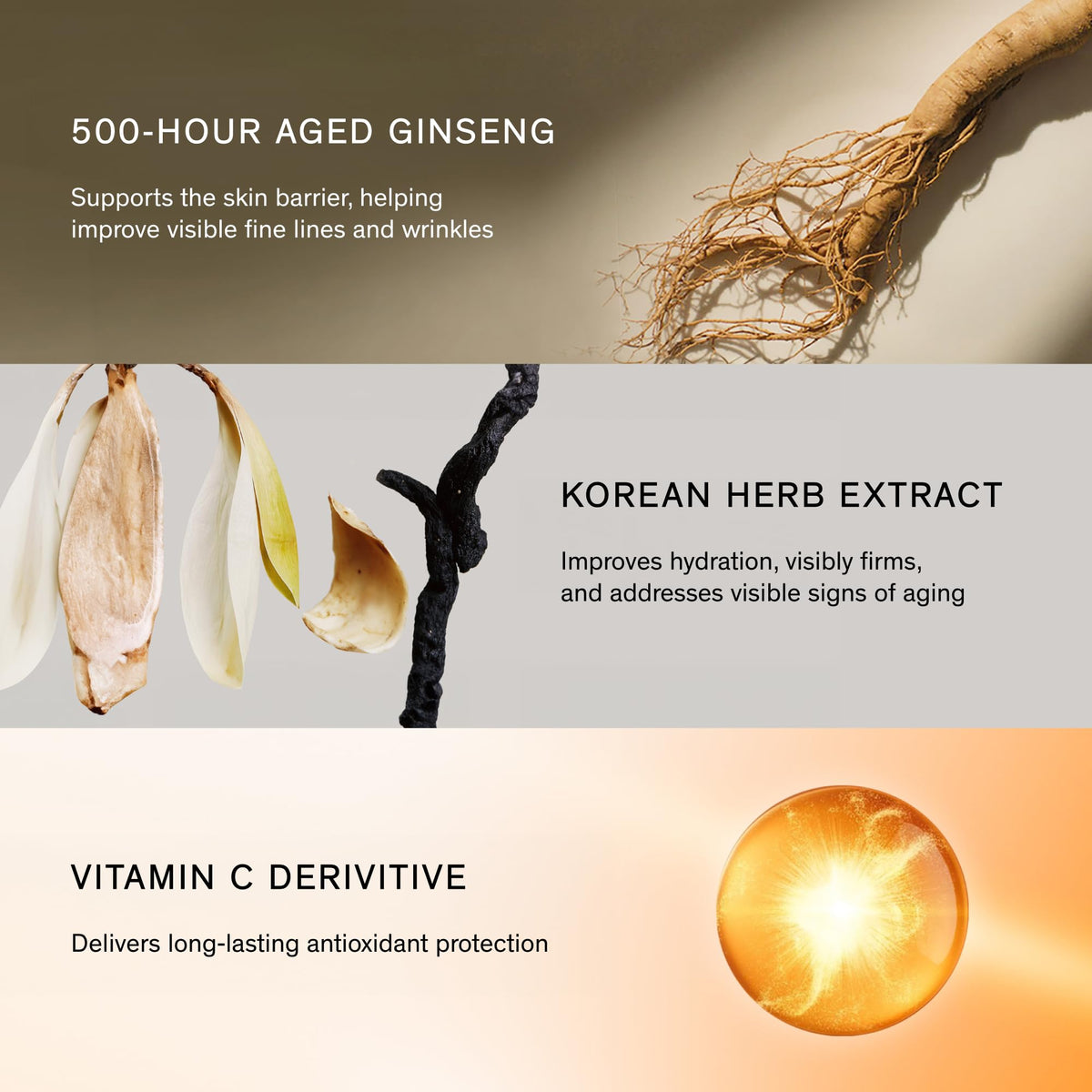 Sulwhasoo First Care Activating Serum With Ginseng - Premium Selection Official Imagery - 7