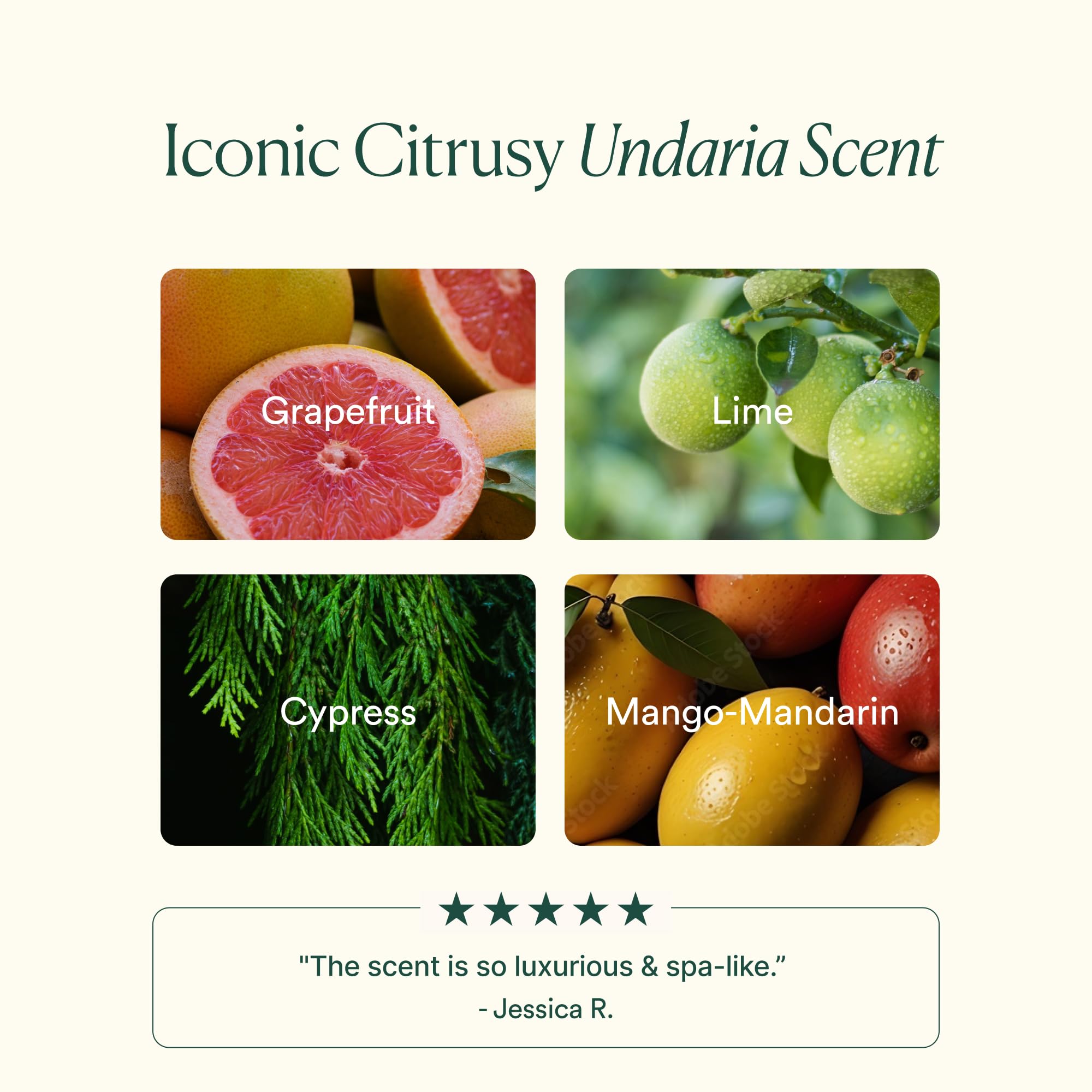 OSEA Undaria Cleansing Body Polish Dual Action AHA - OSEA Official Imagery - 8
