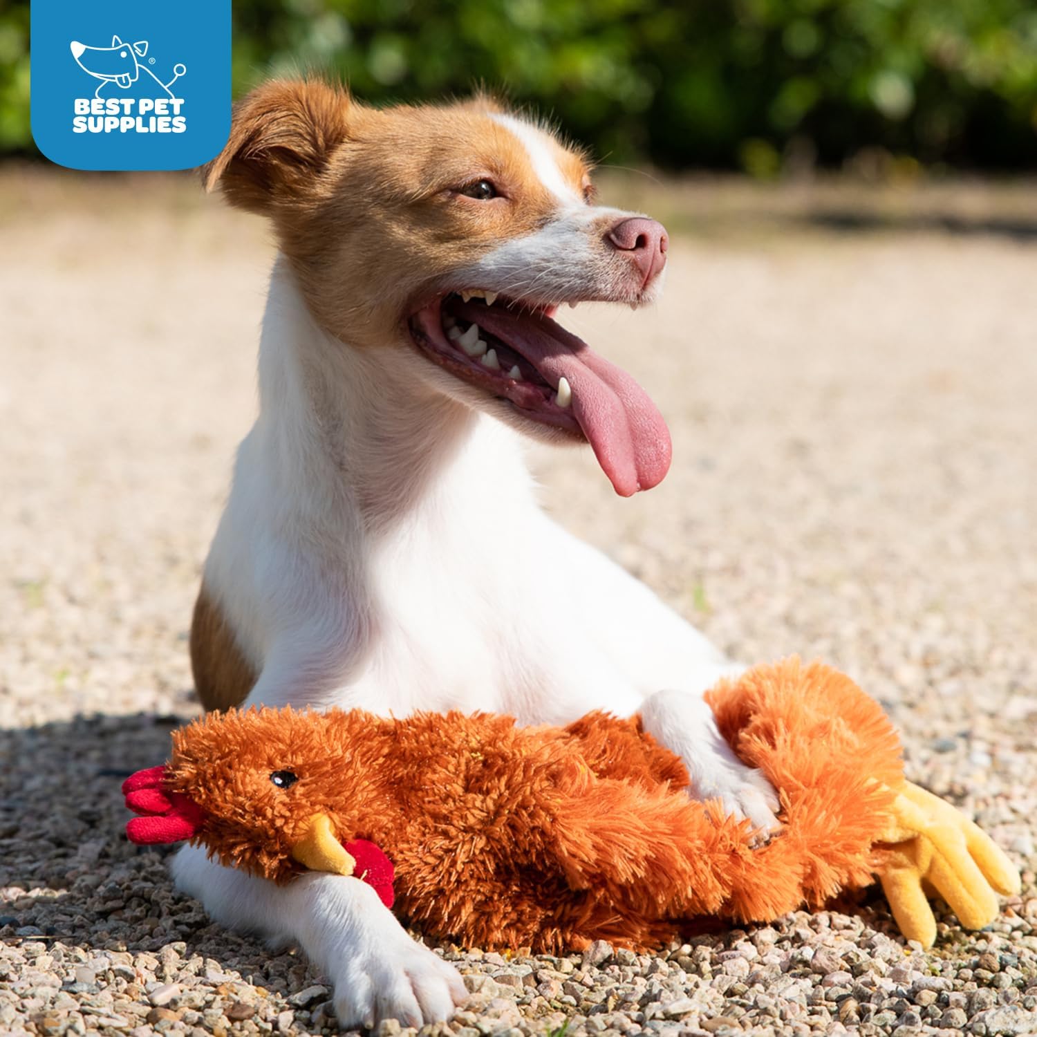 Best Pet Supplies squeaky dog chew toy for aggressive chewers, durable plastic dog toy with squeaker for interactive play.
