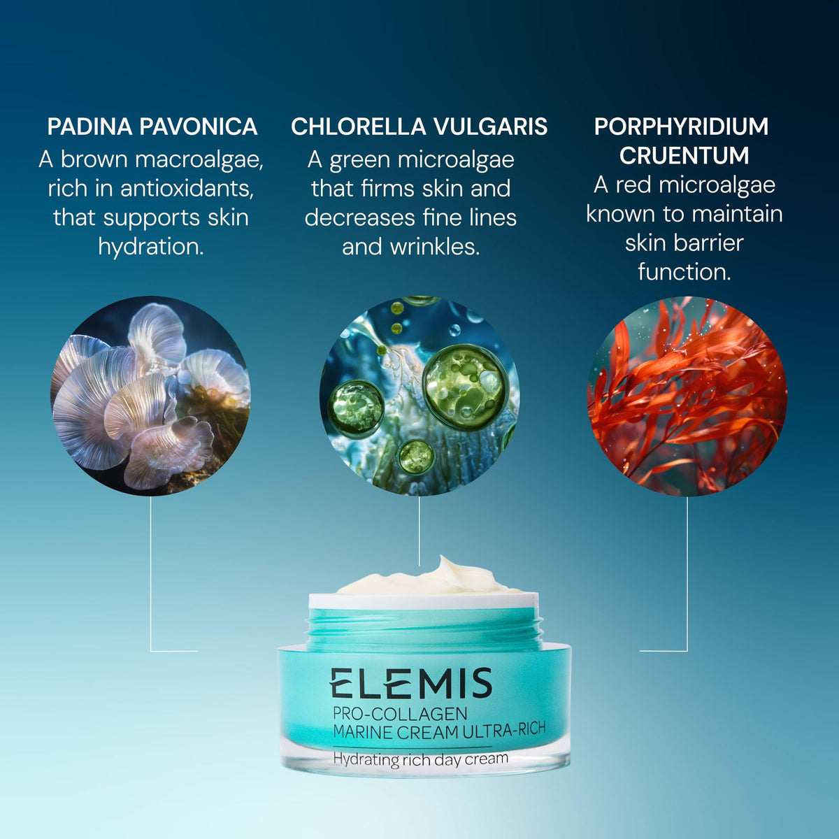 ELEMIS Pro Collagen Marine Cream Ultra Rich Anti Wrinkle - Premium Selection Official Imagery - 6