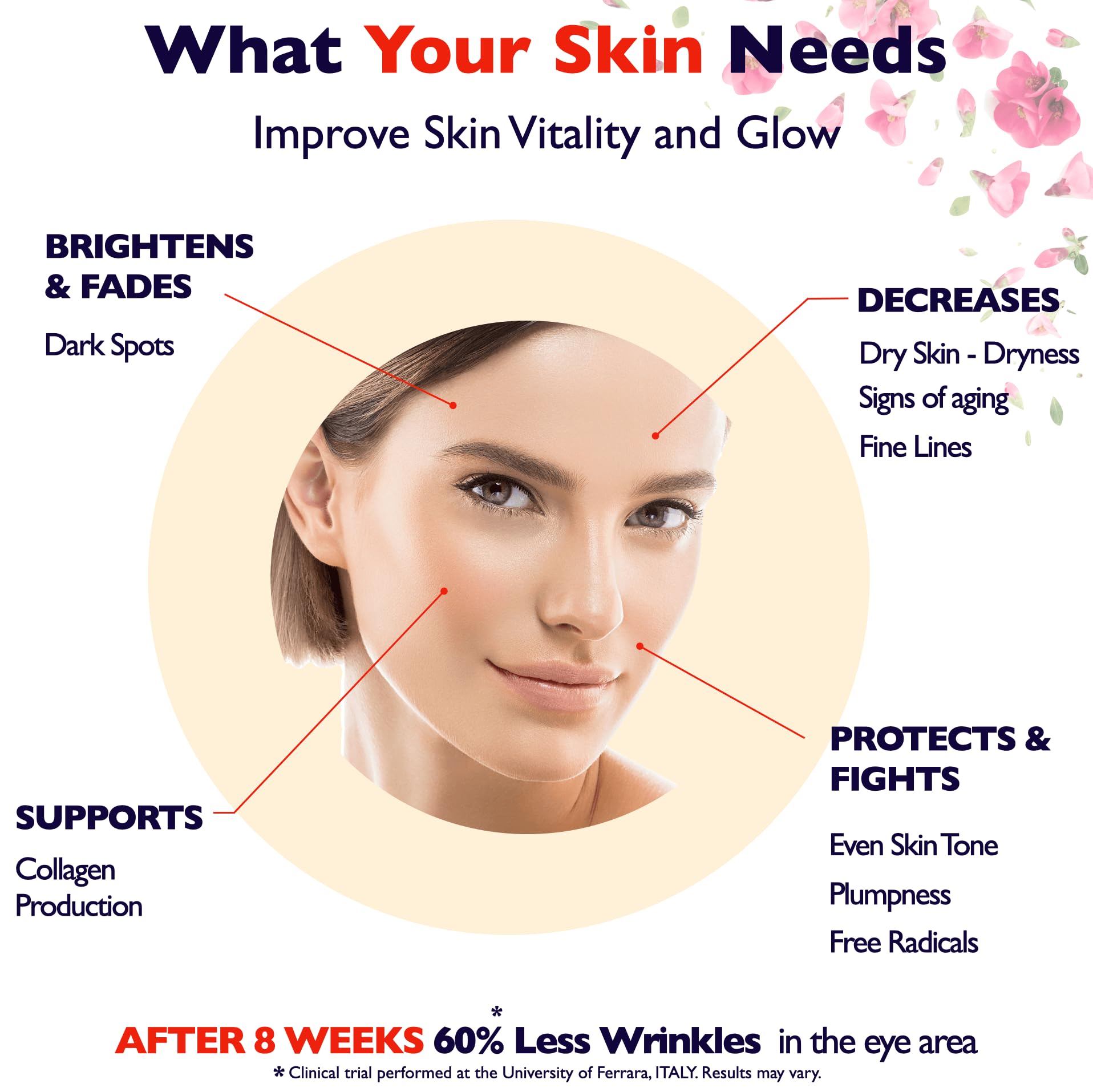 Florence Vitamin C Serum For Face – Anti Aging Face Serum with Vitamin C, - Florence Official Product View 4