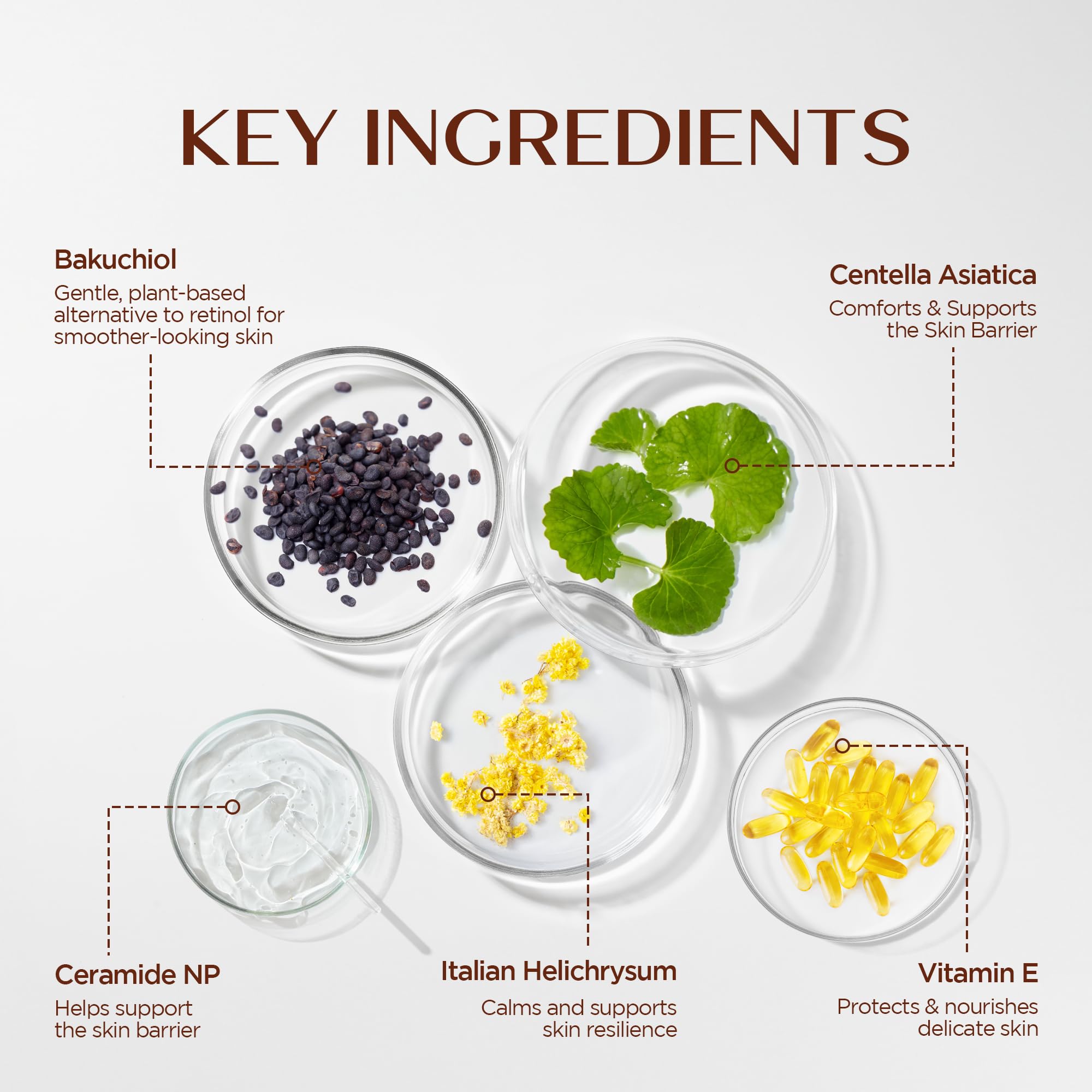 Vigority Frankincense Balm for mature skin in a 3.4 oz jar, moisturizing skin with natural frankincense extract.