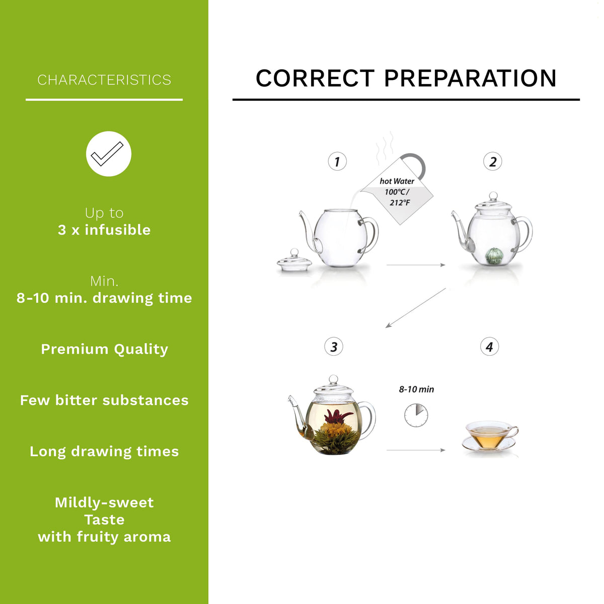 Creano Blooming Tea Gift Set with Glass Teapot 17oz - Creano Official Imagery - 4