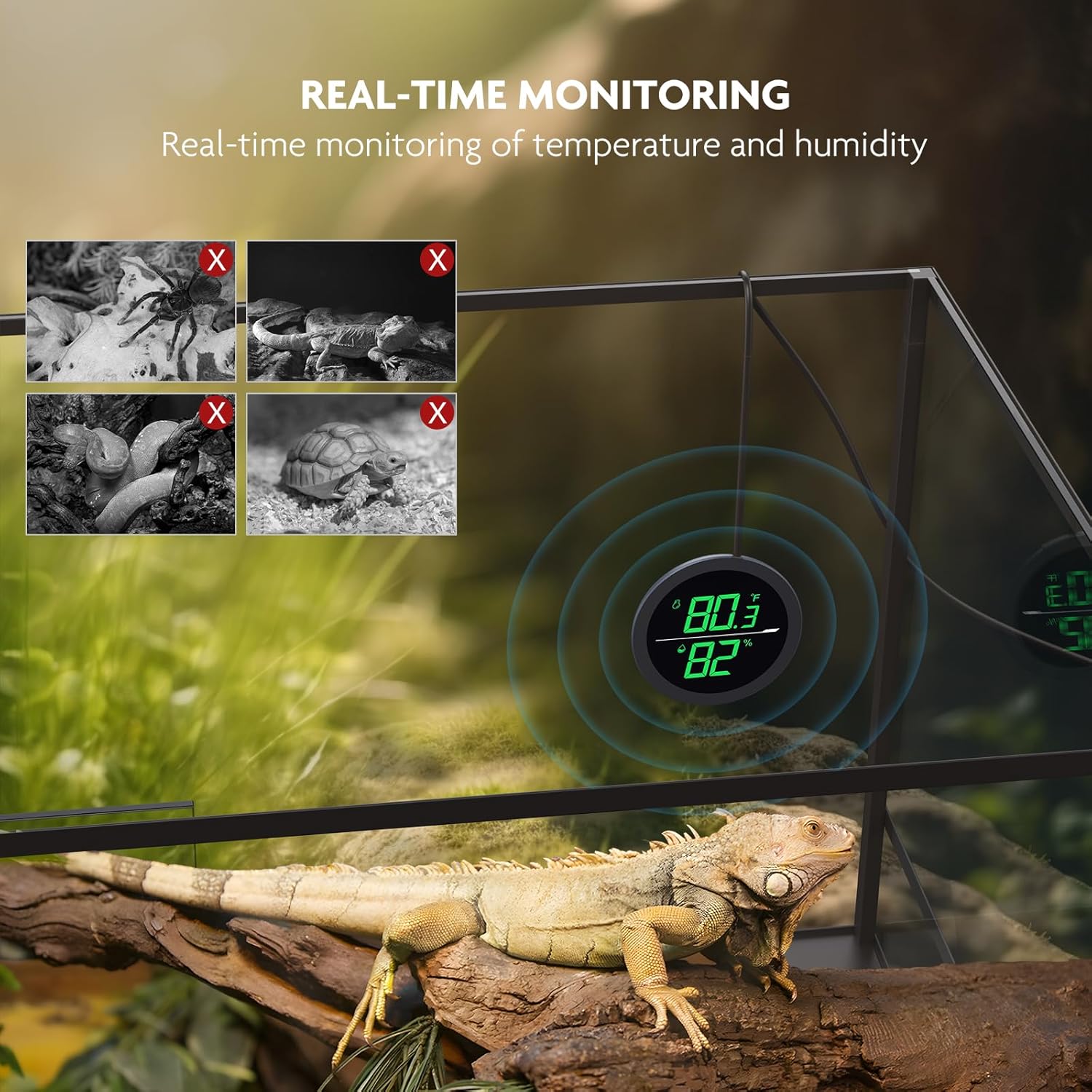 PAIZOO LED digital reptile thermometer and hygrometer displaying temperature and humidity levels in a terrarium.