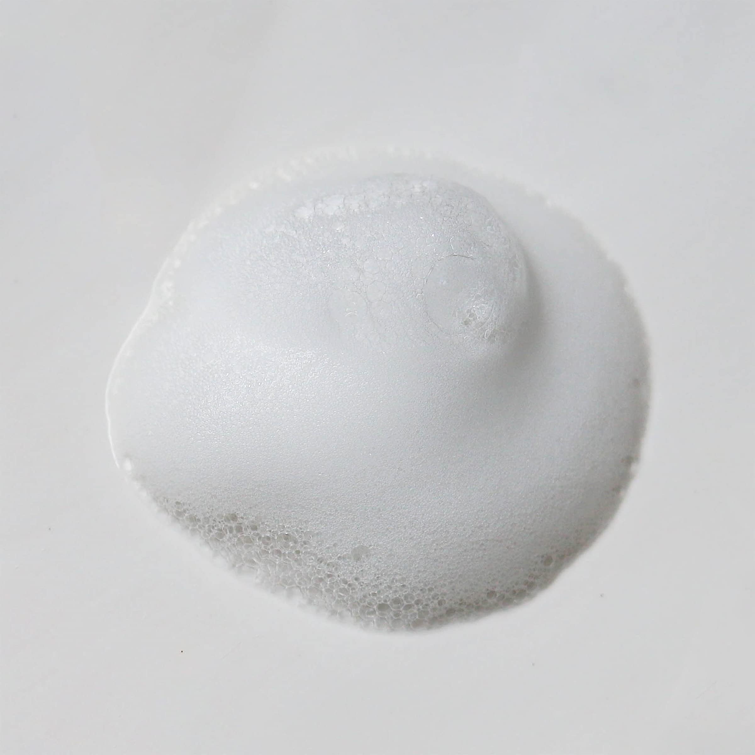 Weleda Gentle Cleansing Face Foam 5 Ounce - Weleda Official Product Imagery - 7