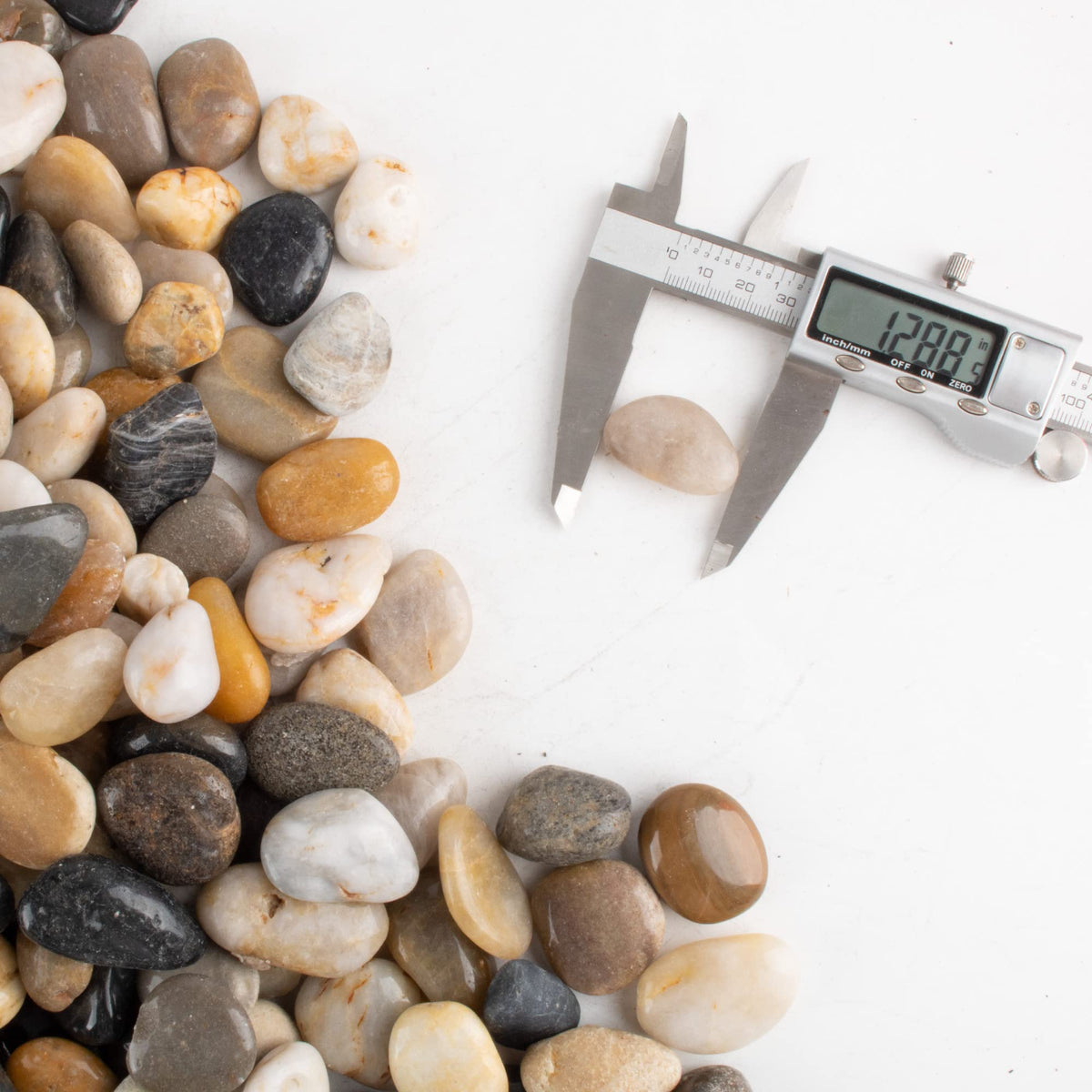 Pebbles for Plants 18 lb Natural River Rocks Garden - CJGQ Official Imagery - 3