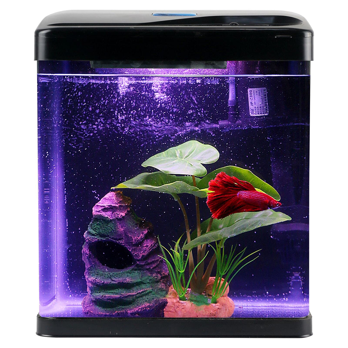 Betta Fish Tank Self Cleaning Glass 2 Gallon Small Nano - COOSPIDER Official Imagery - 1