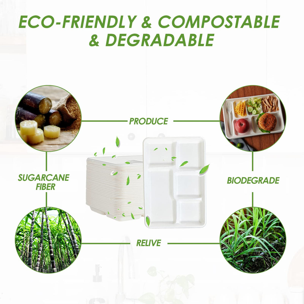 Vplus Compostable 5 Compartment Paper Plates 100 Pack 12 5 x - Vplus Official Imagery - 6