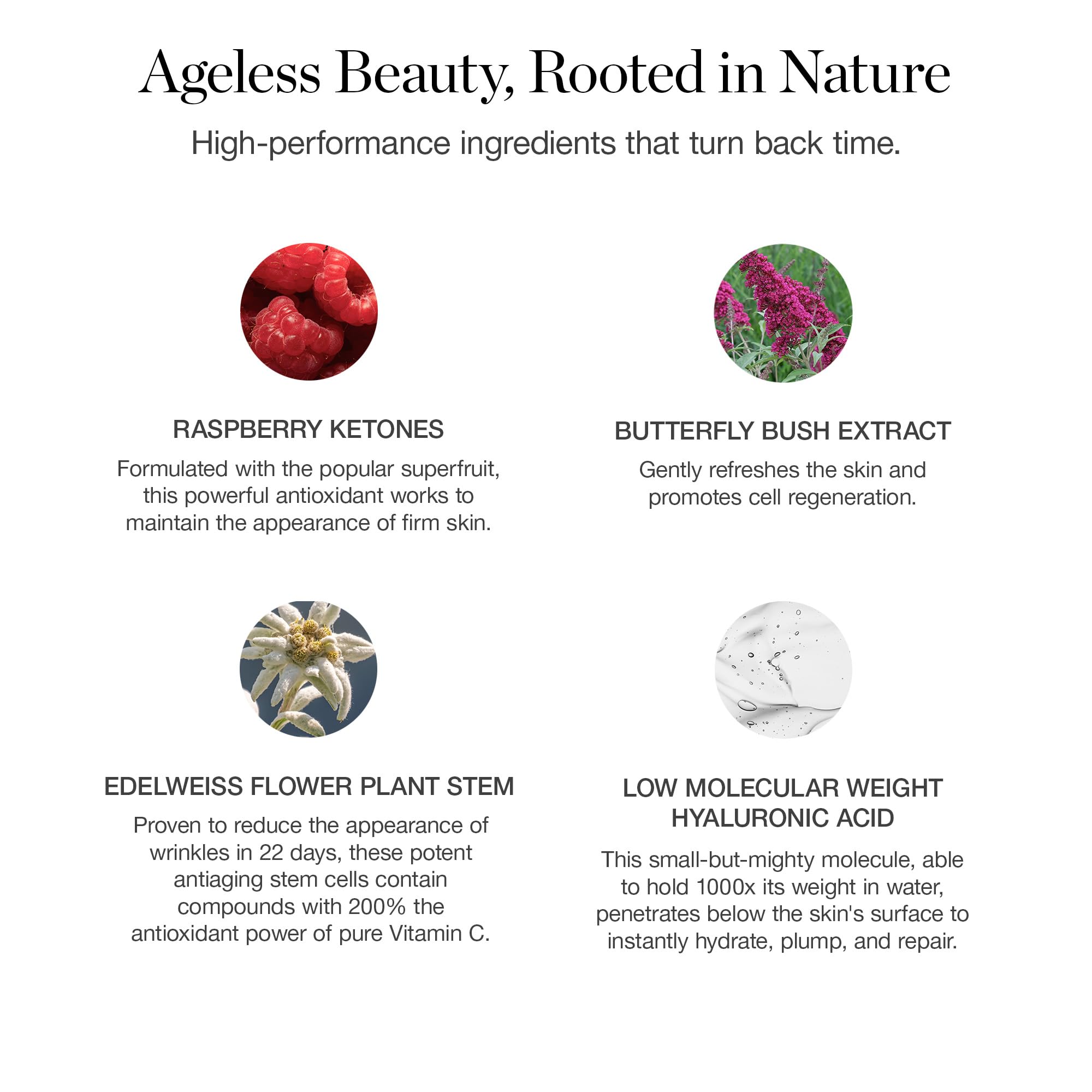 Ogee Seeds of Youth Serum, Hyaluronic Acid Serum for Face - Ogee Official Product View 3