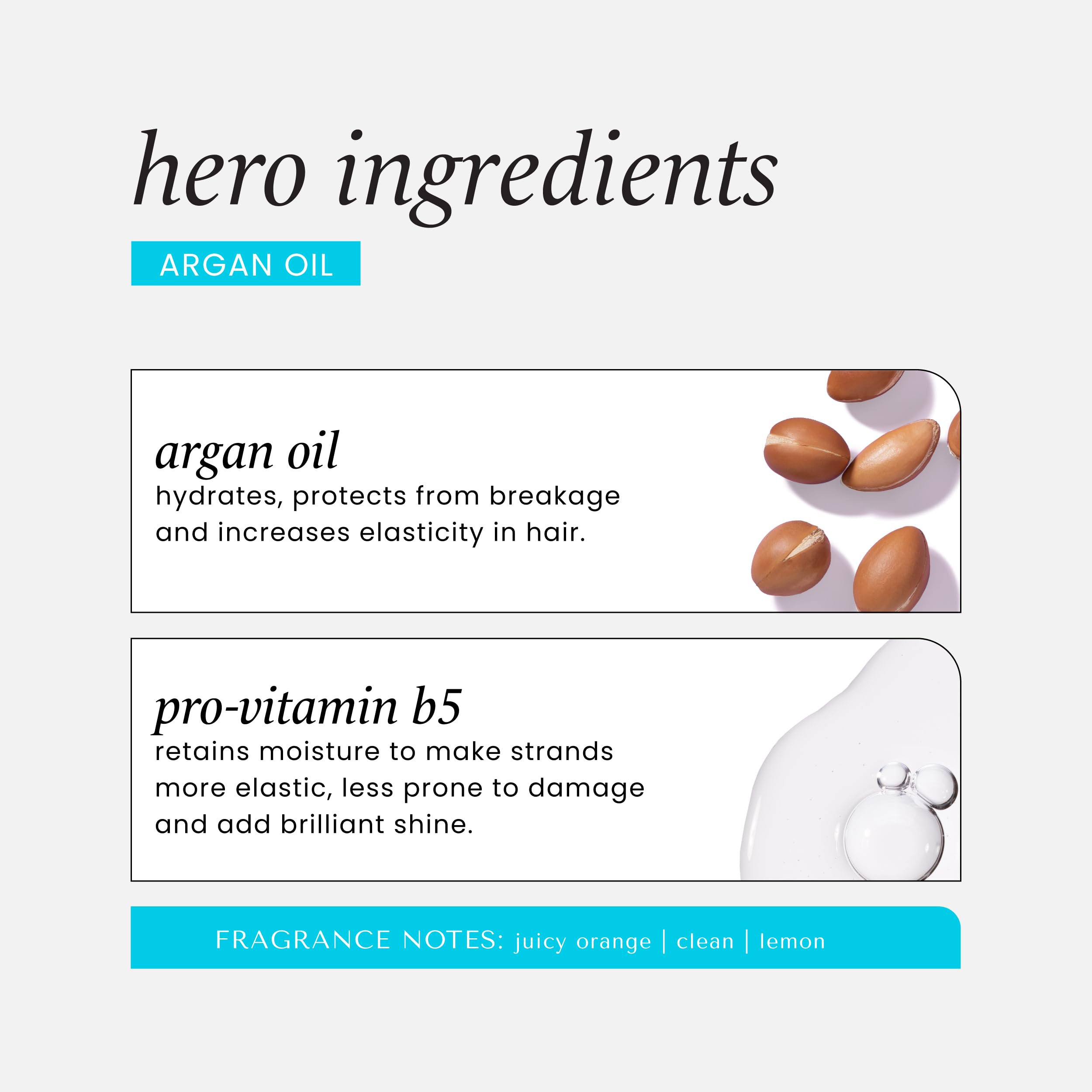 HASK Argan Oil Repairing Shampoo + Conditioner Set - Color Safe & Sulfate Free - HASK Official Product View 6