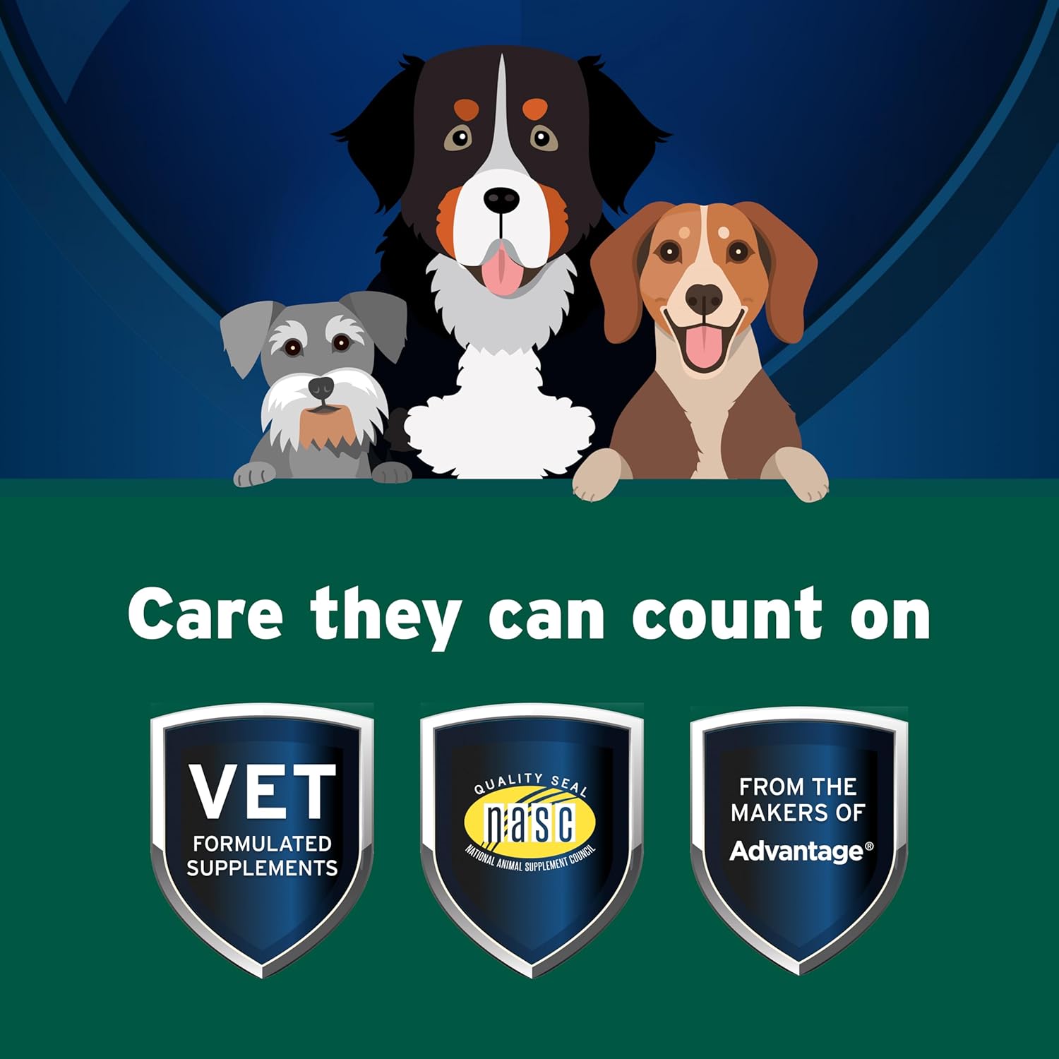 Pet Protect Pet Protect Dog Probiotic Balance+ oral gel with vet-formulated Endurosyn and prebiotics for digestive health.