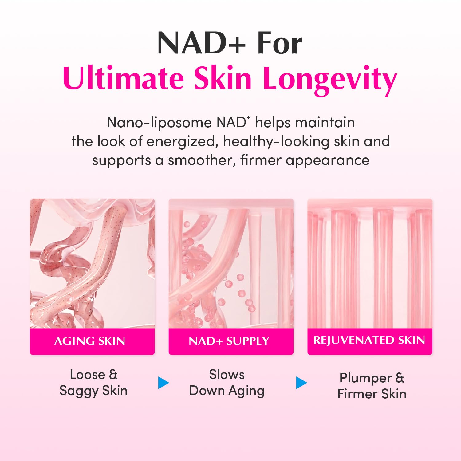 EQQUALBERRY NAD+ Peptide Boosting Cream – NAD+ 5% &amp; 13 - EQQUALBERRY