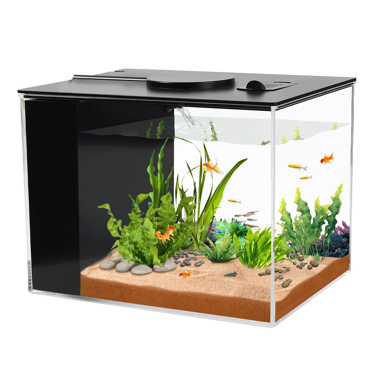 AQUANEAT Fish Tank 1 Gallon Betta Fish Tank Small Aquarium - AQUANEAT Official Imagery - 1