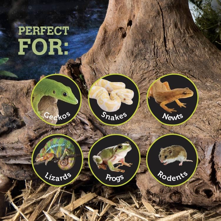 Galápagos Mossy Sapa Corner Reptile Hide showing natural mossy exterior and cozy interior for reptiles and amphibians.