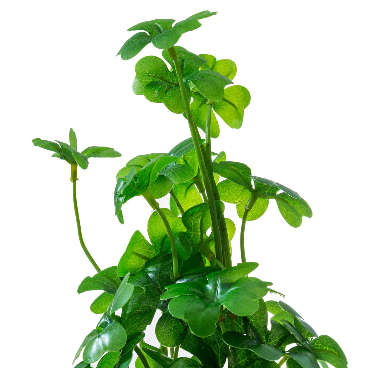MyGift Set of 3 Small Assorted Artificial Plants in Clear - MyGift Official Imagery - 8