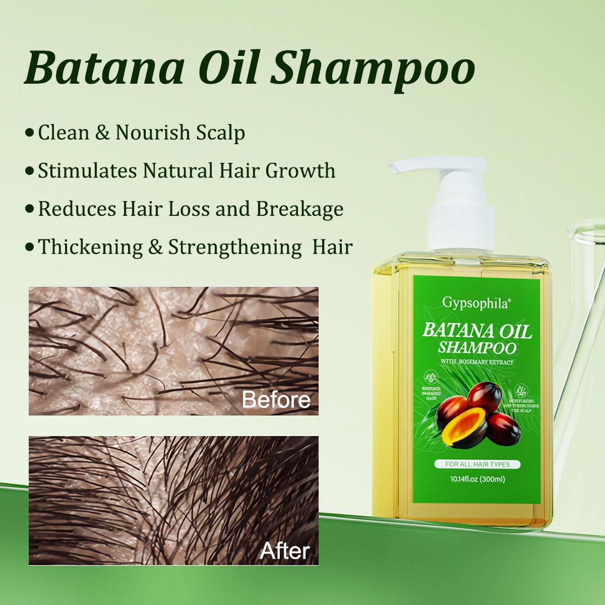 Gypsophila Batana Oil Shampoo,Rosemary Shampoo,Nourishing & Rejuvenating for - Gypsophila Official Product View 4