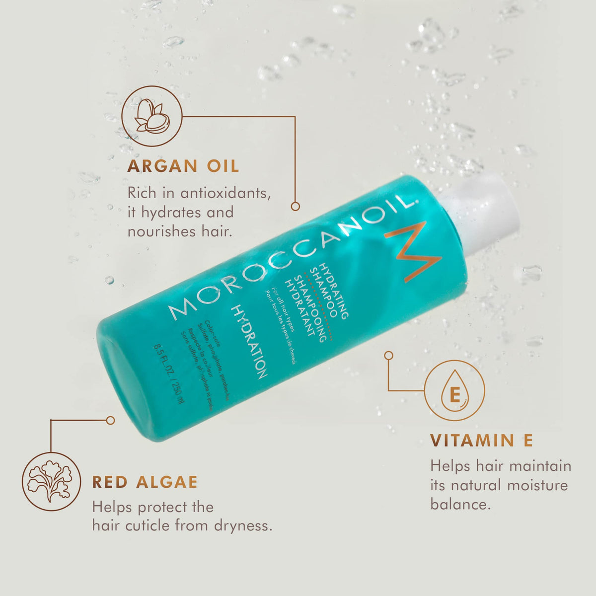 Moroccanoil Hydrating Shampoo - Premium Selection Official Imagery - 3
