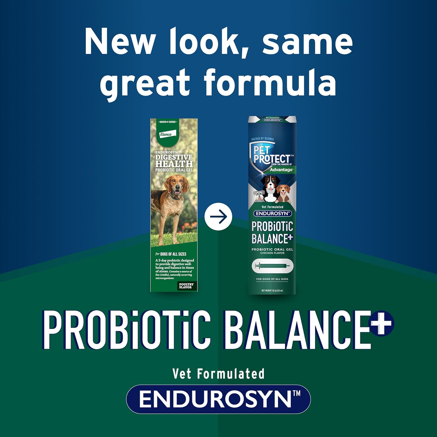 Pet Protect Dog Probiotic Balance+ oral gel with Vet-Formulated Endurosyn and prebiotics, shown in a tube and applicator.