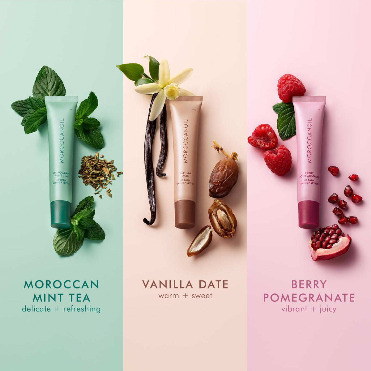 Moroccanoil Argan Butter Lip Balm - Premium Selection Official Imagery - 8