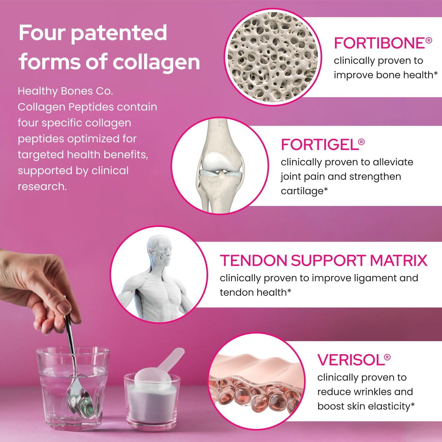 Collagen Peptides Powder FORTIBONE FORTIGEL VERISOL Tendon - Healthy Bones Co. Official Imagery - 5