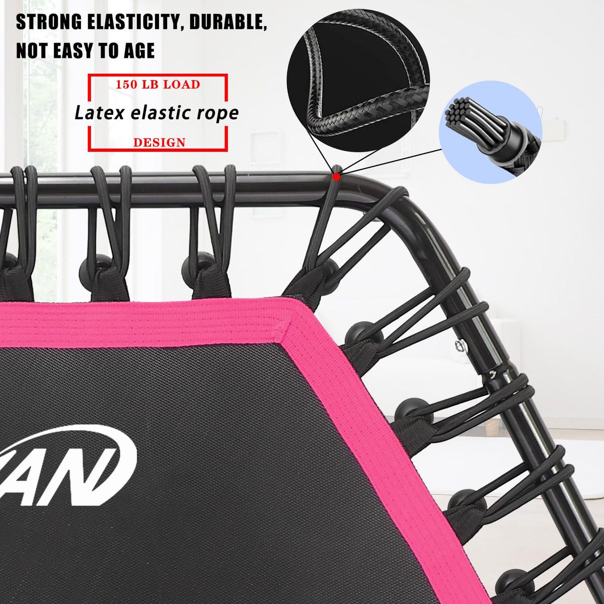 Newan 48 Fitness Trampoline with Adjustable Handle Bar - NEWAN Official Imagery - 4