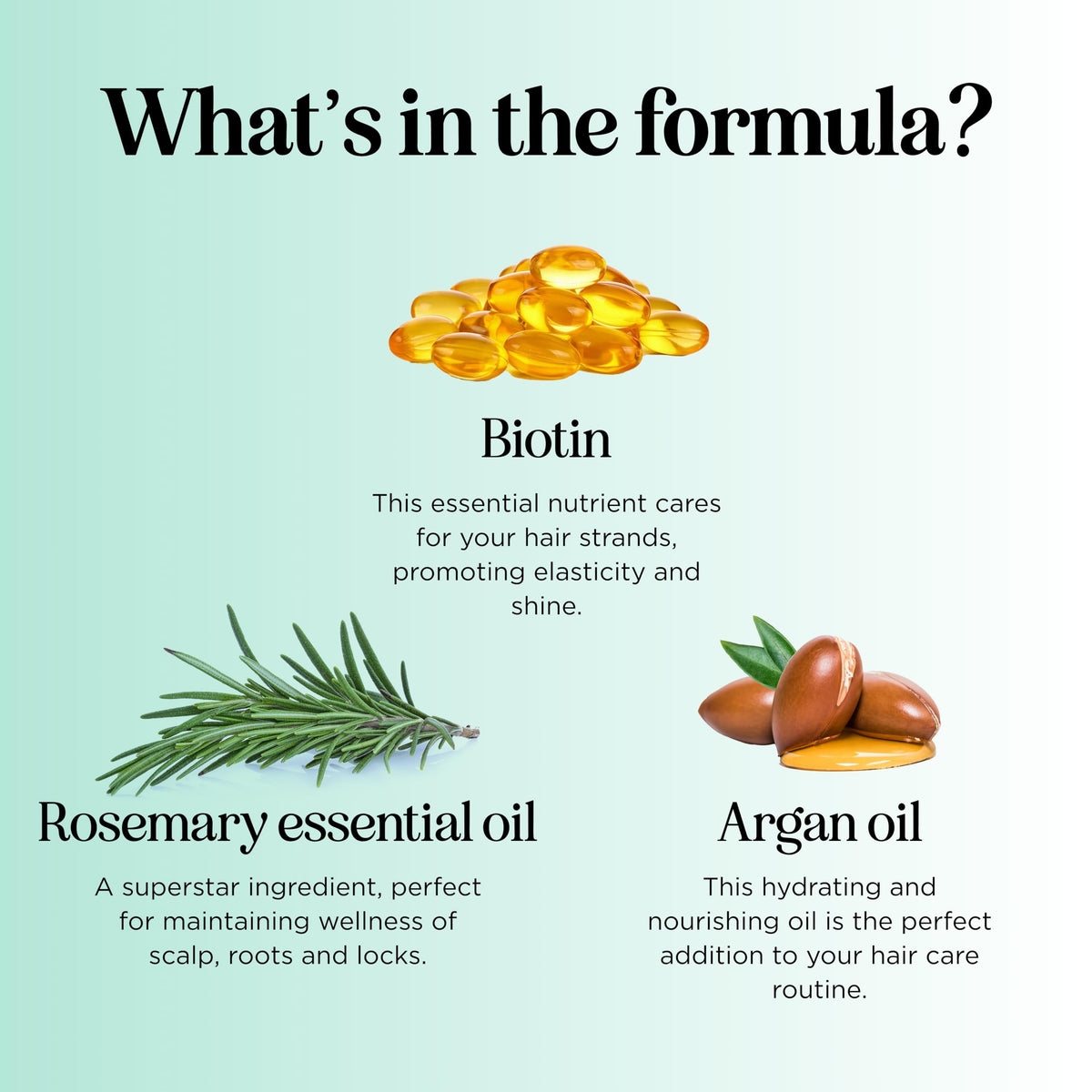 Biotin Rosemary Conditioner for Thinning Hair - Maple Holistics Official Imagery - 7